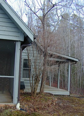 Country Home Plan F-1600 - Exterior Tour