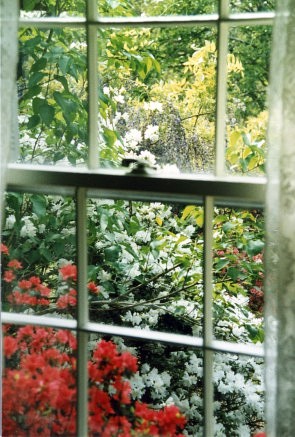 Primitive Country Home - Azaleas