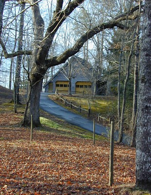 Primitive Country Home - Our Big Tree