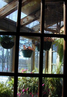 Primitive Country Home - Greenhouse