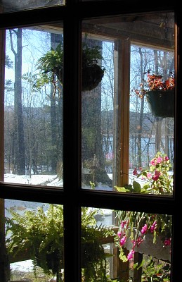 Primitive Country Home - Greenhouse Wall