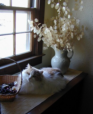 Primitive Country Home - Kitty in Dormer Window