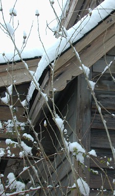 Primitive Country Home - Country Roof Trim