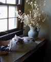 Natalie's Home - dormer and kitty